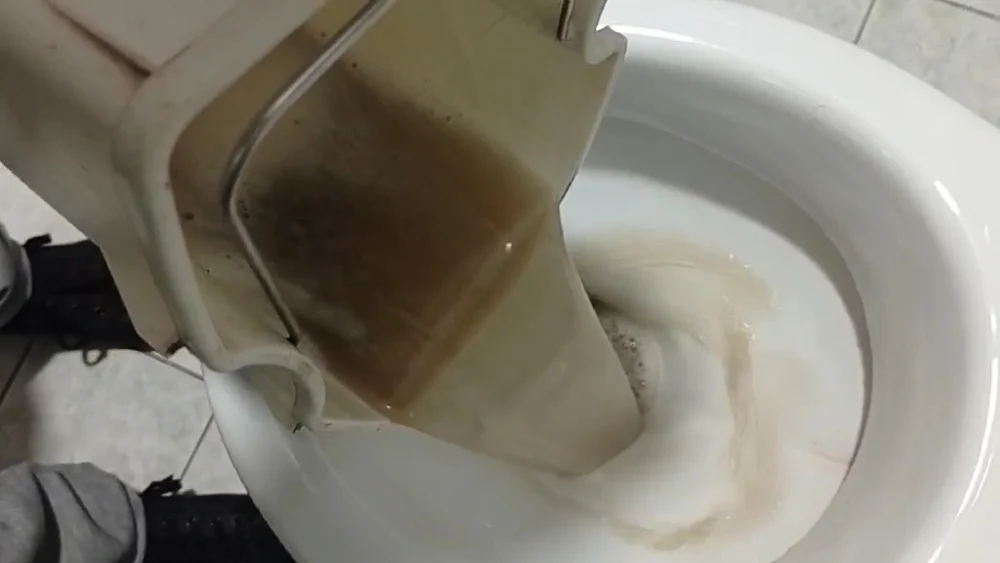 "GREEN CLEAN" Dubinsko pranje i čišćenje nameštaja, dezinfekcija i čišćenje klime Novi Sad - 4