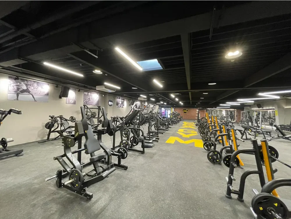 Mega Gym Novi Sad