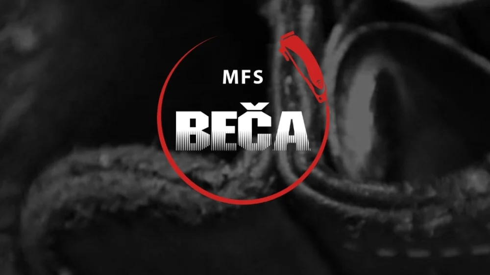Muski frizer Beča