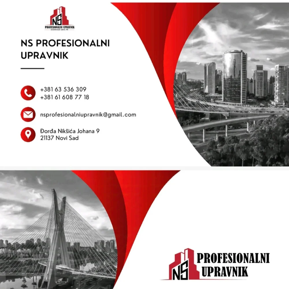 NS PROFESIONALNI UPRAVNIK